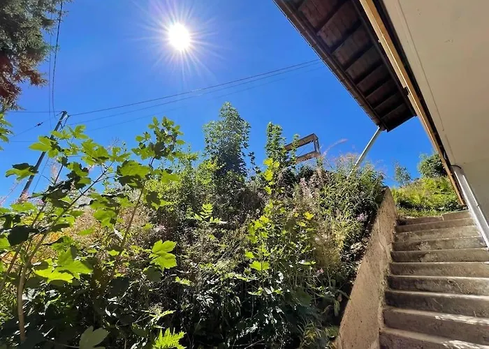 La Gallerie Du Domaine Des Lupins * Xonrupt-Longemer